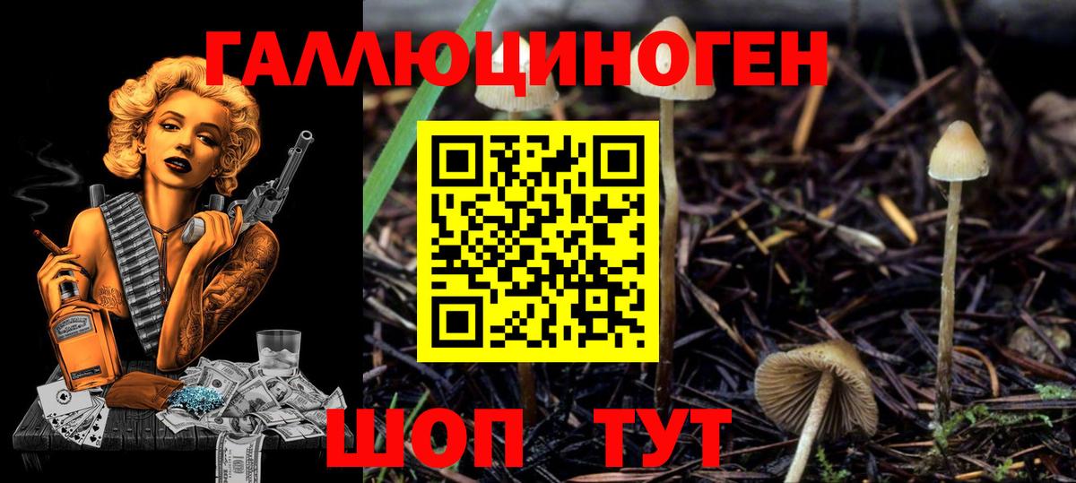 Галлюциногенные грибы мицелий Ревда