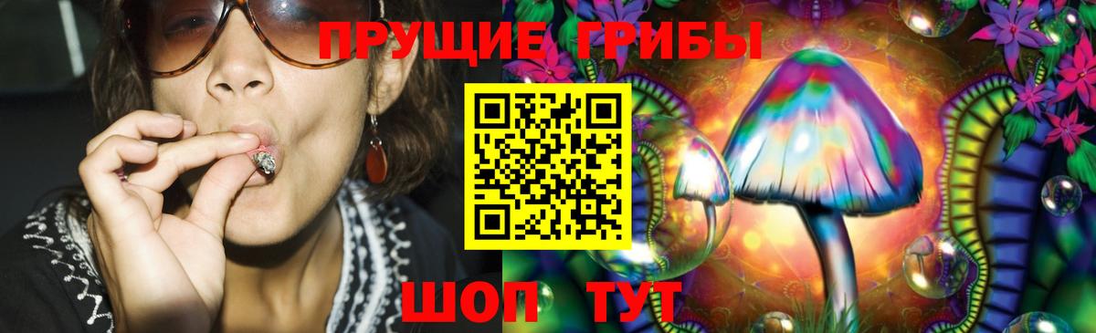 Ревда  Галлюциногенные грибы Cubensis  Вход с VPN 
