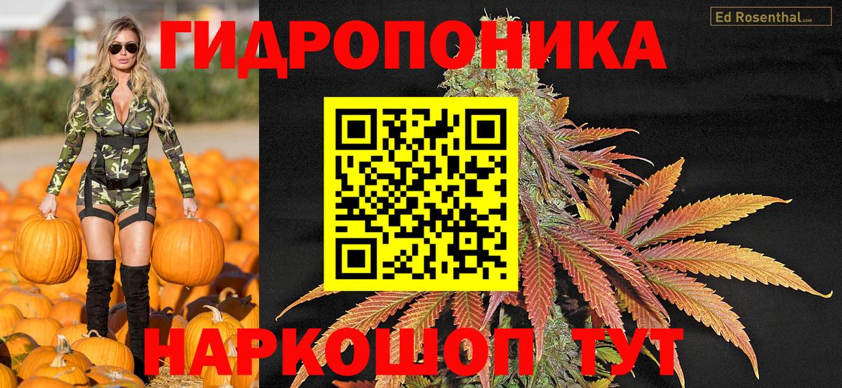Шишки марихуана индика  Вход с VPN  Конопля Ganja  МАРИХУАНА Amnesia  Ревда 